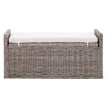 vidaXL Banc de rangement avec coussin Gris 110 x 40 x 50 cm Rotin