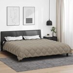 vidaXL Duvet d'hiver Gris clair et anthracite 220 x 200 cm Microfibre