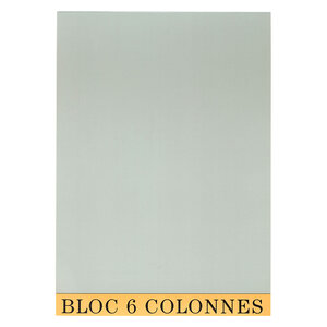BLOC COMPTABLE 29,7/21 6 Col. 70Fls. EXACOMPTA