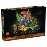 11505 Les champignons des bois ® Botanicals