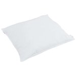 vidaXL Oreiller avec oreiller 2 Pièces Blanc 50 x 50 cm Plume