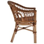 vidaXL Chaises d'extérieur lot de 4 Rotin naturel Marron