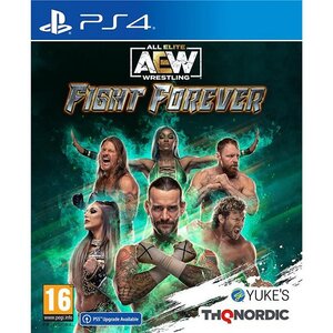 Jeu ps4 aew fight forever