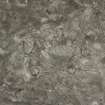 vidaXL Dalles de plancher autoadhésives 55 Pièces PVC 5 11 m² gris