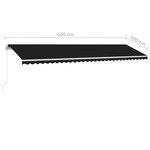 vidaXL Auvent manuel rétractable sur pied 600x300 cm Anthracite
