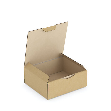 Boîte carton brune d'expédition rajapost 14 5x13x5 5 cm (lot de 50)
