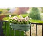 Balconnière ovale avec réservoir 50 x 18 2 hauteur 17 cm - Vert