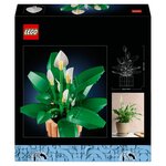 11504 Lys de la paix en pot ® Botanicals