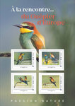 Collector 4 timbres - A la rencontre du guêpier d'Europe - Lettre Verte