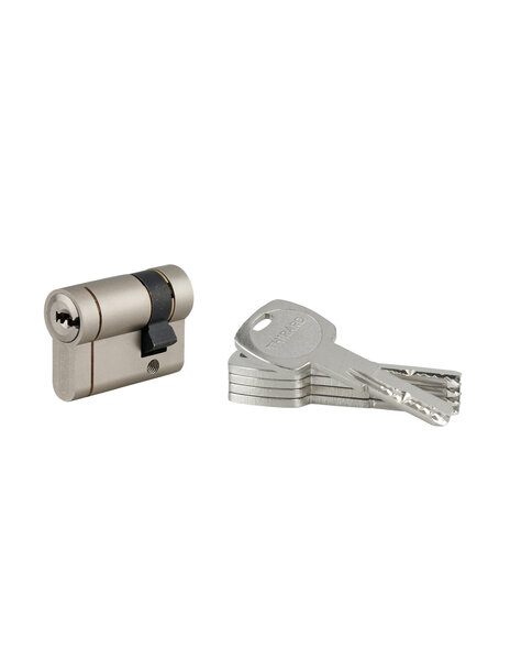 THIRARD - Demi-cylindre Transit 1  30x10mm  nickelé  5 clés - THIRARD