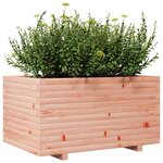 vidaXL Jardinière 90x60x49 5 cm bois massif de douglas