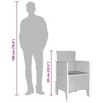 vidaXL Chaise de jardin 2 Pièces Marron 53 x 49 x 85 cm Polypropylène