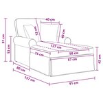 vidaXL Chaise lounge avec jupe Gris clair 157 x 91 x 91 cm ARES