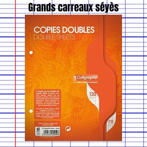 Copies doubles perforées 17 x 22 cm calligraphe 7000 clairefontaine