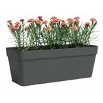 Jardinière rectangulaire anthracite 49 9 x 20 x hauteur 18 1 cm