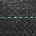 vidaXL Membrane anti-mauvaises herbes noir 2x100 m PP