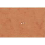 EXACOMPTA - Chemise a élastiques 3 rabats - 24 x 32 - Carte lustrée 390G - Couleur tabac