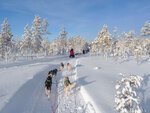 SMARTBOX - Coffret Cadeau 3 jours en Suède avec balade en chiens de traîneau et observation des aurores boréales -  Séjour