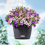 LECHUZA Jardinière suspendue NIDO Cottage 28 ALL-IN-ONE Granite