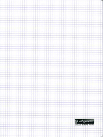 Cahier couverture polypro 90g 24 x 32 cm 96 p petits carreaux 5x5 translucide calligraphe