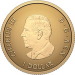 Monnaie ICONIC MAPLE LEAF 0.5 g Or 1$ Canada 2027