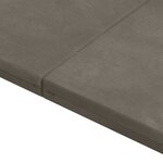 vidaXL Canapé-lit pliable 140 x 67 x 15 cm Gris clair
