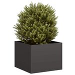 vidaXL Jardinière noir 40x40x30 cm acier
