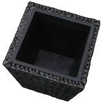 vidaXL Lits surélevés 3 Pièces Jacinthe d'eau Noir