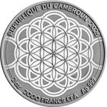 Pièce de monnaie en Argent 2000 Francs g 62.2 (2 oz) Millésime 2025 Patterns of the World AMERICAN BISON