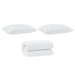vidaXL Couette Autre avec oreiller 2 Pièces Blanc 140 x 200 cm Bas