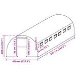 vidaXL Couverture de remplacement de serre (24 m²) 400x600x200 cm Vert