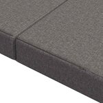 vidaXL Canapé-lit pliable 160 x 67 x 45 cm Gris clair