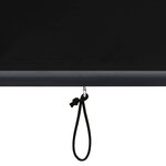 vidaXL Store roulant d'extérieur 100 x 250 cm Anthracite