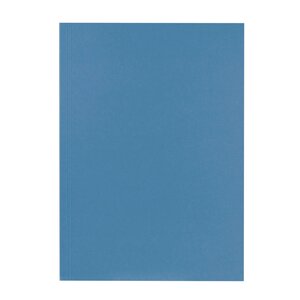 Chemise Carte Recyclée A4 - Bleu - X 100 - Falken