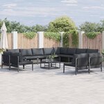 vidaXL Ensemble de canapé de jardin 13 Pièces Anthracite Acier