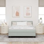 Lit à ressort vidaXL avec matelas Gris clair 140x190 cm Velours
