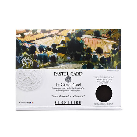 La carte pastel noir anthracite - 6feuilles - 40x30cm - sennelier