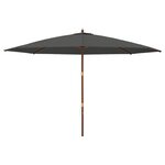 vidaXL Parasol de jardin avec mât en bois anthracite 400x273 cm