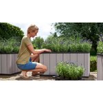 Keter Jardinière Sequoia Taille moyenne Gris PP 240929