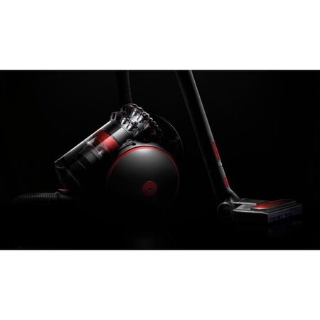 Aspirateur traîneau dyson clearance big ball animal
