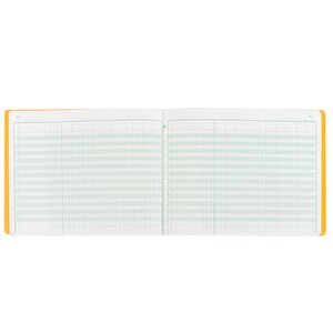 Registre piqûre 11 colonnes exacompta 6110