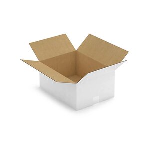 Caisse carton blanche simple cannelure raja 40x30x18 cm (lot de 25)