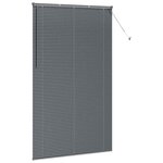 vidaXL Store de Fenêtre avec des rideaux Gris foncé Aluminium
