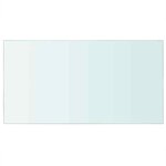 vidaXL Panneau pour étagère Verre transparent 40 x 25 cm