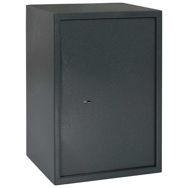 vidaXL Coffre-fort Gris foncé RAL7016 31 x 35 x 50 cm Acier
