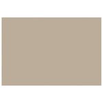 vidaXL Toile de rechange pour auvent Beige 500 × 350 cm Polyester