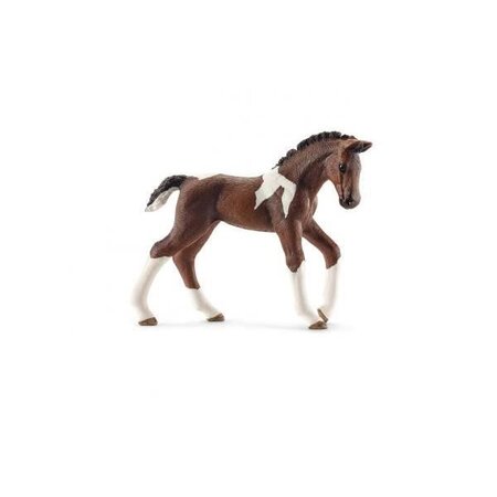 Schleich figurine 13758 - cheval - poulain trakehnen
