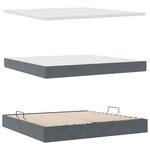 vidaXL Lit avec rangement et LED Gris foncé 200 x 200 cm Velours