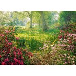 Ravensburger 88923 - Puzzle Prairie Fleurie 1000 pièces