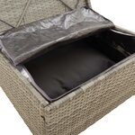 vidaXL Salon de jardin 9 Pièces avec coussins Gris Résine tressée